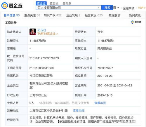 史玉柱股權遭凍結超億元 愛企查數據揭示商務咨詢行業風險