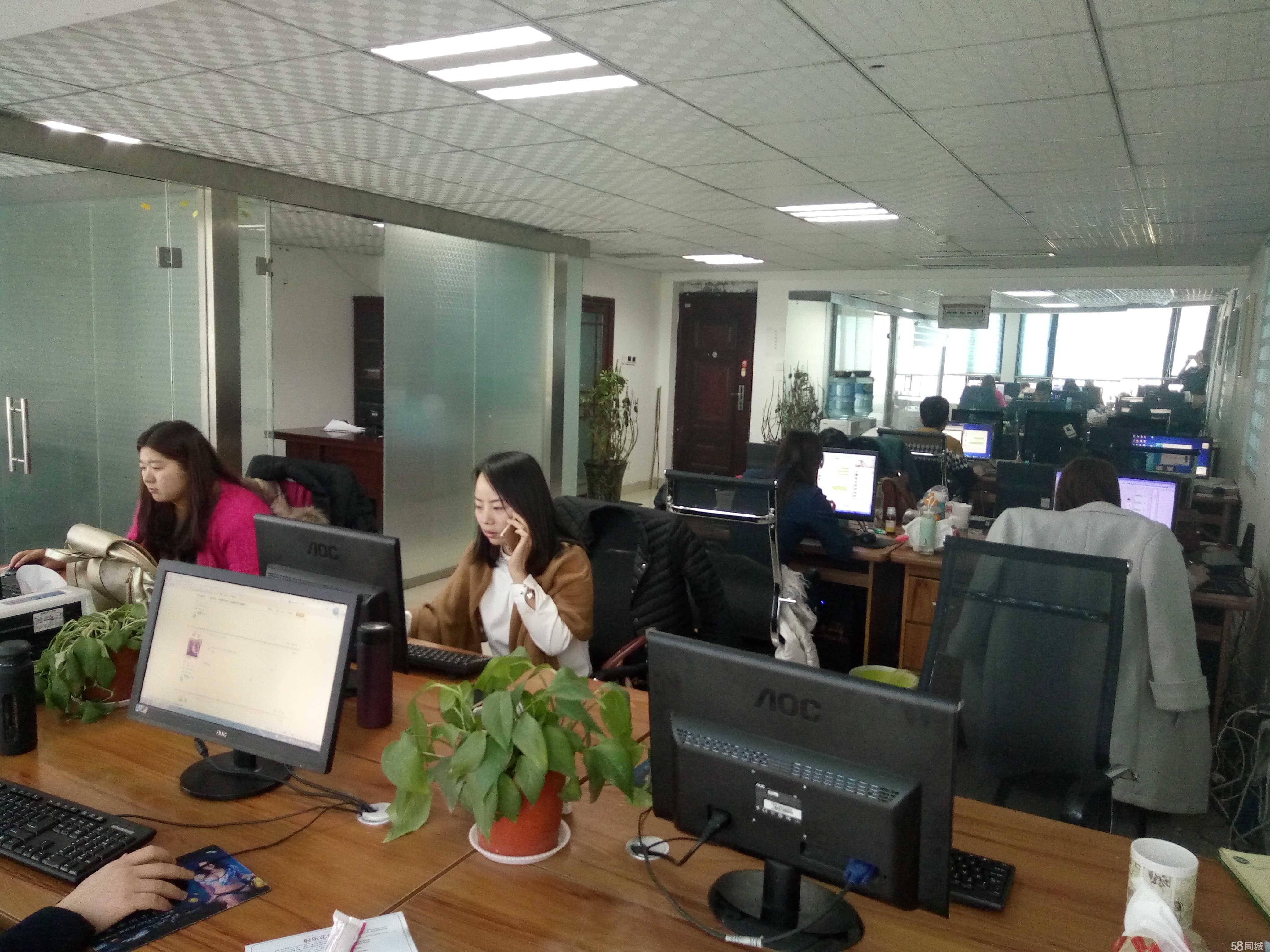 洛陽恩億電子商務 開啟專業商務信息咨詢新篇章