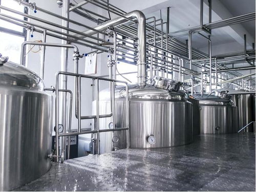 酒香何處尋？—— 傳統酒業的變遷與現代市場挑戰